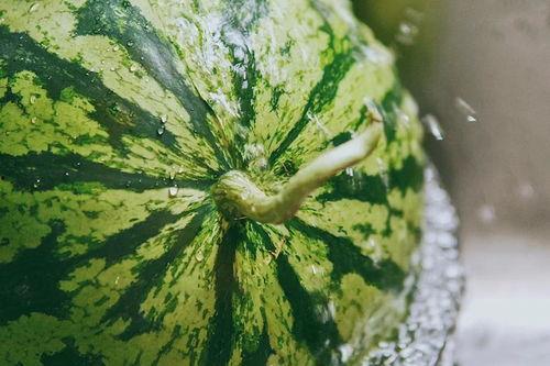 亚洲人吃瓜,探寻瓜果飘香的独特风味