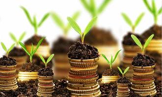 永基基金吃瓜,揭秘背后真相与行业影响