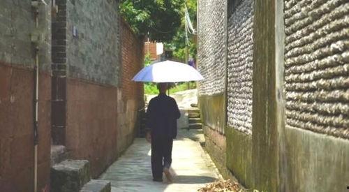 定州小区吃瓜事件,邻里纷争背后的真相揭秘