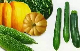 在黑夜里吃瓜,揭秘黑夜中的神秘美食之旅