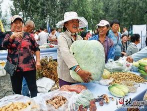 农耕文明吃瓜,瓜类作物在农耕文明中的角色与影响