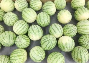 吃瓜不停地吃瓜下一句,吃瓜不停,揭秘娱乐圈那些事儿